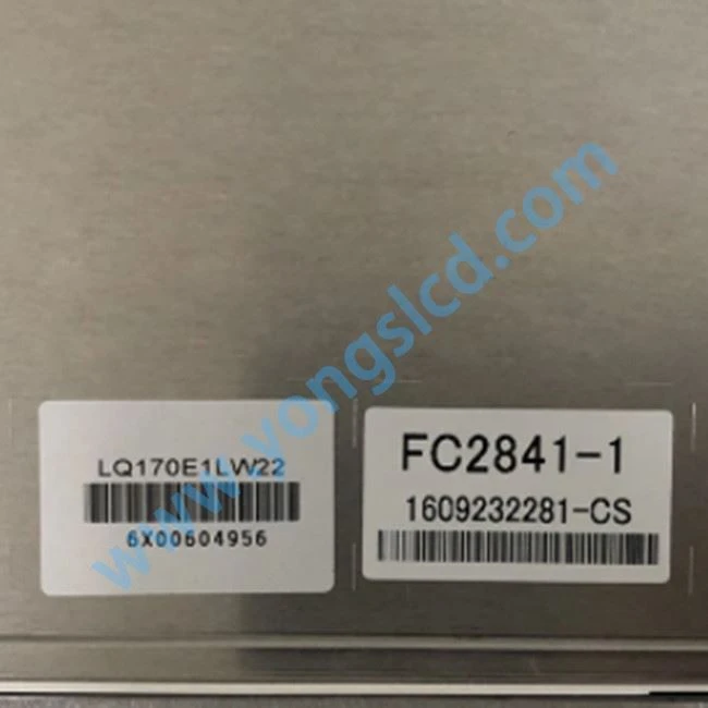 Lq170e1lw22 LCD Panel Screen Display